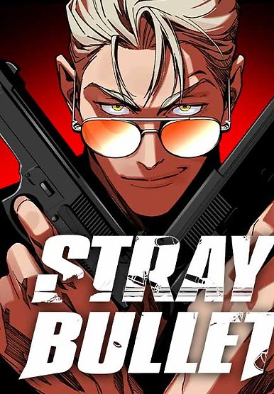 Stray Bullet